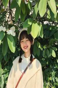 小说流沙易逝by苏冉林沐泽