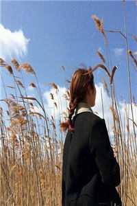 安以夏盛司聿写的小说迟冬不赴春全文阅读