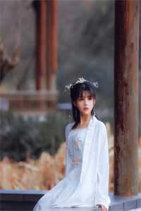 我把心收回，你也无须再奉陪全文+番茄