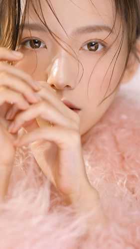 何须梨花赴寒春小说全文免费阅读