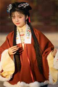 柳新月裴居安写的小说明月再无归处全文阅读