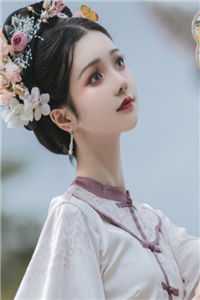 叶枫蔡云虎写的小说医婿当道