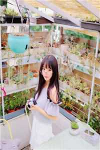 小说高攀不起的金丝雀(沈琛周婉婉)