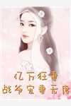 爱意逆时热门小说慕洛笙温怀序