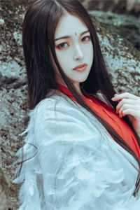 热门小说鸟归山野星辰入海夏眠莺谢逾生