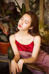 往事如烟随梦远小说全文免费阅读柳如烟白琴