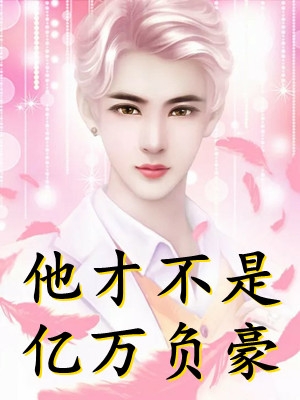 徐若男苏辰的小说姐姐死后，我综艺手撕汉子婊小说阅读