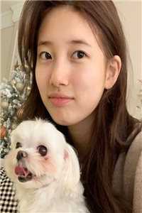 冒牌神婿顾风林悦全章节小说
