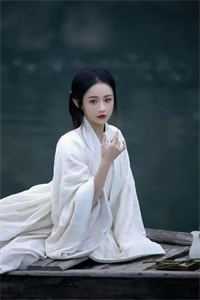 官途风云小说李福海宋观潮