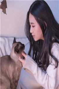 妻子为姐夫抛下我后，我死遁了岑月江寻全集