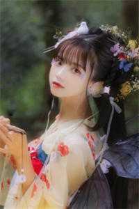 梅花何进写的小说残梦离殇雨