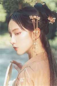 官途风云小说李福海宋观潮
