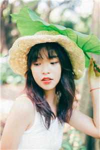 二婚玫瑰小说姜心柔杨卓宇