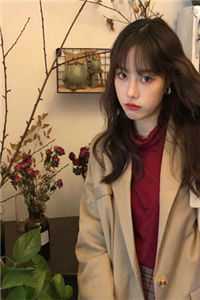 贵妃无宠，她只求荣华不要真情小说江清远裴如音