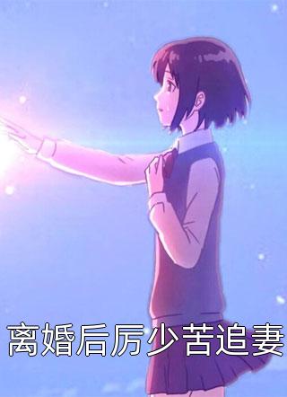 官途风云小说李福海宋观潮
