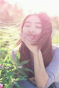 李福海宋观潮的小说官途风云免费阅读