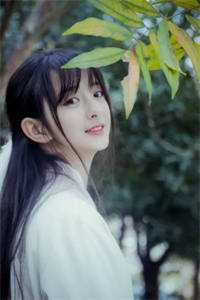 精选篇章过年回家，爸妈离婚我结婚