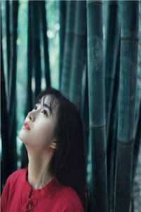 和情敌网恋翻车后，被他亲懵了叶晚晚林渡小说
