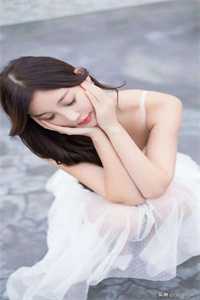 我自清欢，无风无月结局+番外