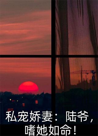 女儿入殓时，丈夫在陪白月光逛街全文免费