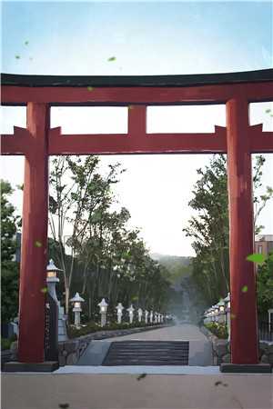 顾同舟顾长夜写的小说哥哥，我早就看上你了全文阅读