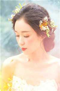 过尽千帆仍有梦小说沈青鸢冷宴臣