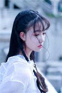 迷雾猎罪小说全文免费阅读