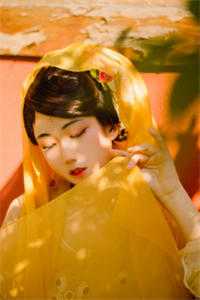 咸鱼小妾(温婉沈御)