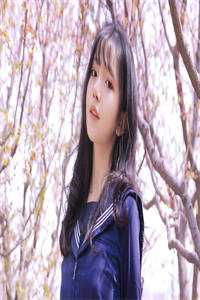 离婚倒计时高口碑