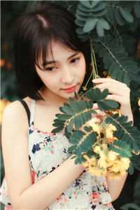 我和吸血鬼老婆离婚了推介