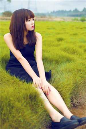 妻子的离婚篇章