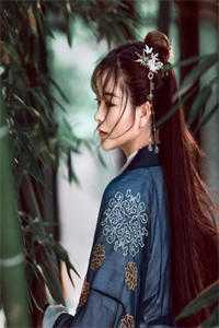 迟来的爱意，散作云烟付宴秋月全章节免费阅读