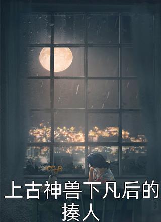 灿烂不过世间花沈绾绾司向晨全章节免费阅读