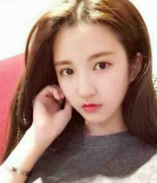 杏花疏影里后续