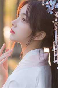 杏花疏影里好书