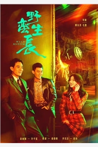 老婆听初恋的话，赌石输的倾家荡产结局+后续