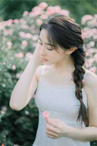 爱随雨落，不复相思小说萧离苏妍月完结版