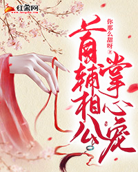 驸马他来迟了后续