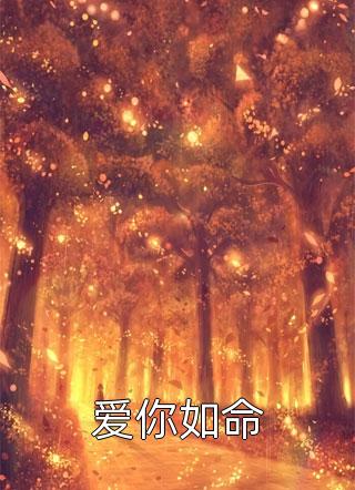 林夏林队的小说完美犯罪生死