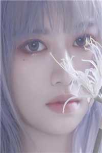再见只是陌生人完结版小说全章节目录阅读