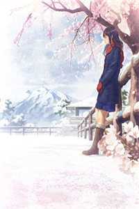 花开花落，缘尽人散无弹窗