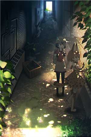 心似秋叶渐飘零无删版