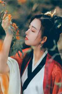 情已褴褛，一元复始后续