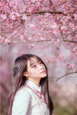 爸爸死后，我妈开了家包子铺免费阅读