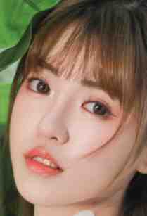 盼春苏念安写的小说美人宴全文阅读