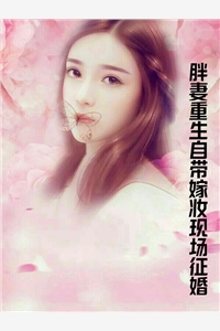 傅临州沈清棠写的小说昭如愿，岁安澜全文阅读