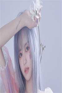 昭如愿，岁安澜后续