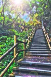 继女高考后坐船旅行遭遇沉船，老公却在陪白月光漂移推介