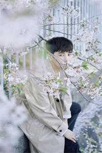 一春烟雨任平生连载