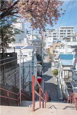 地下恋七年，我放他自由全文